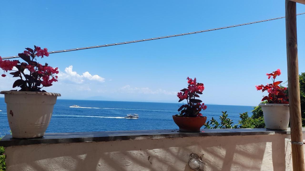 Villa Gianna Amalfi Coast Conca dei Marini Zewnętrze zdjęcie